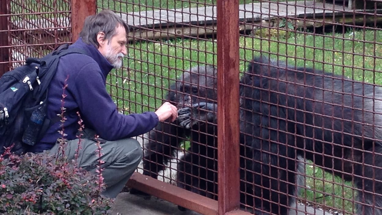 Daniel Paquette retrouve Spock et Maya à la Fondation Fauna à Carignan, au Québec.