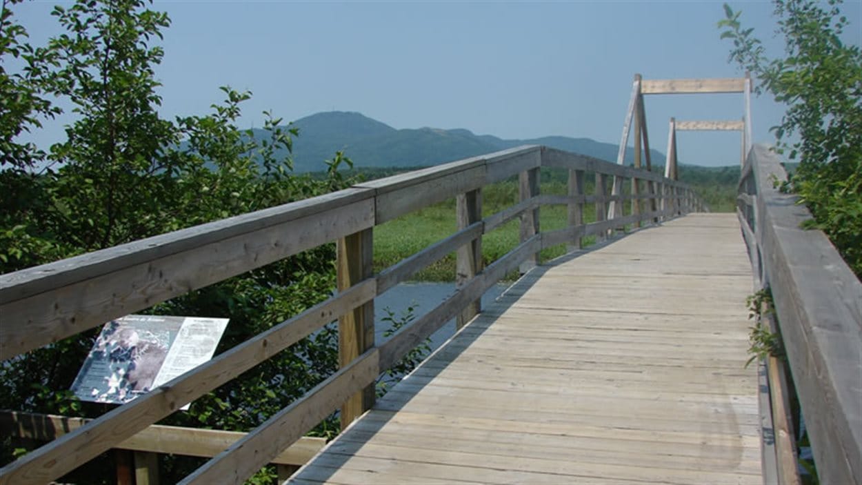 Marais de la rivière aux cerises de Magog