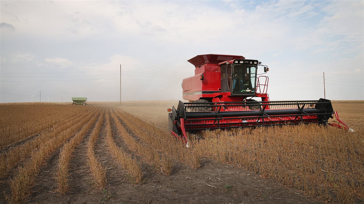 Chute de la production agricole et des prix au Canada  RadioCanada.ca