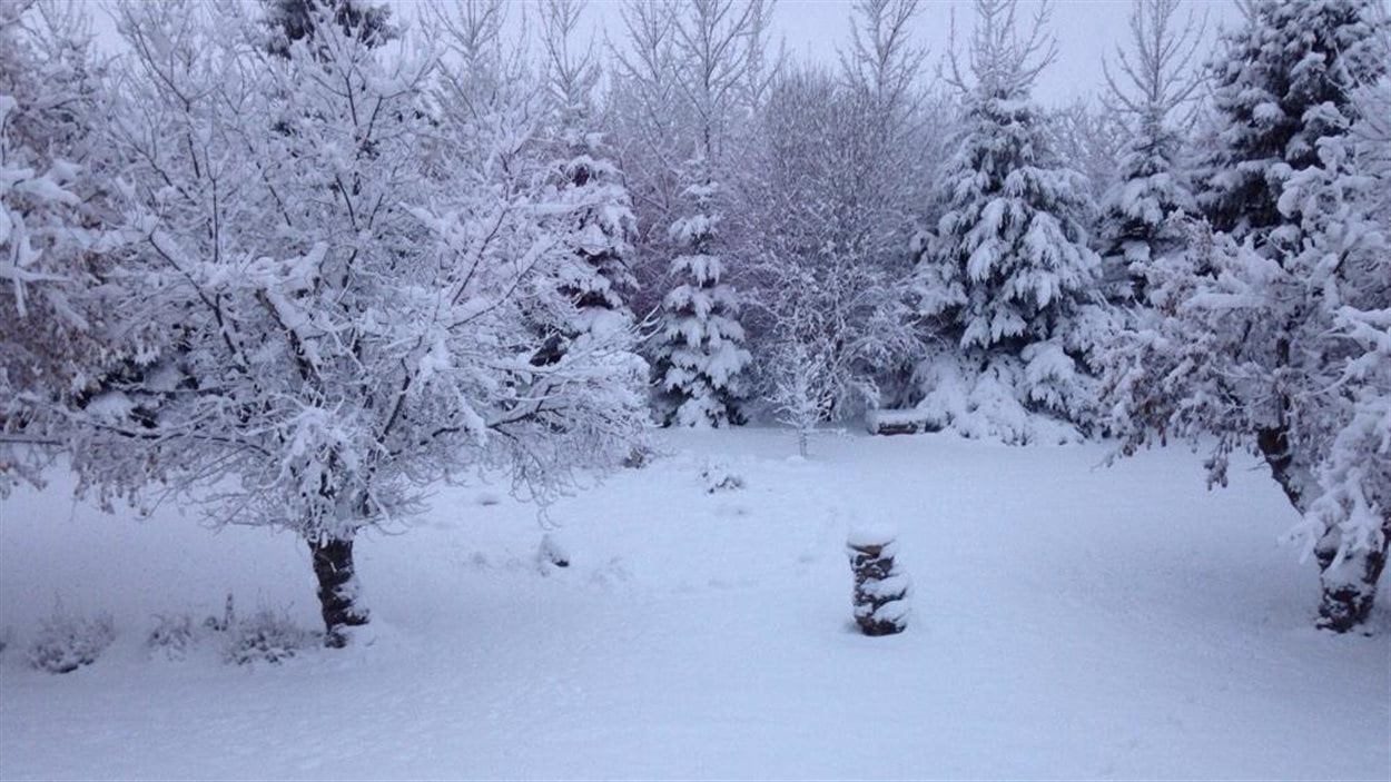 La neige continue de tomber dans le centreest de la Saskatchewan