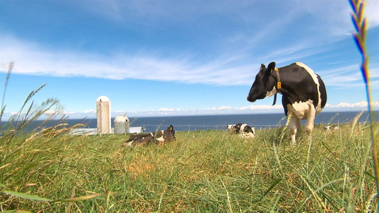 La ferme du Littoral, une ferme familiale