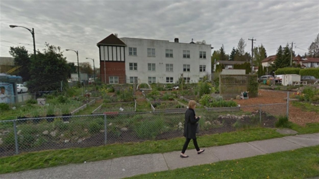 Le jardin communautaire 16 Oaks à Vancouver