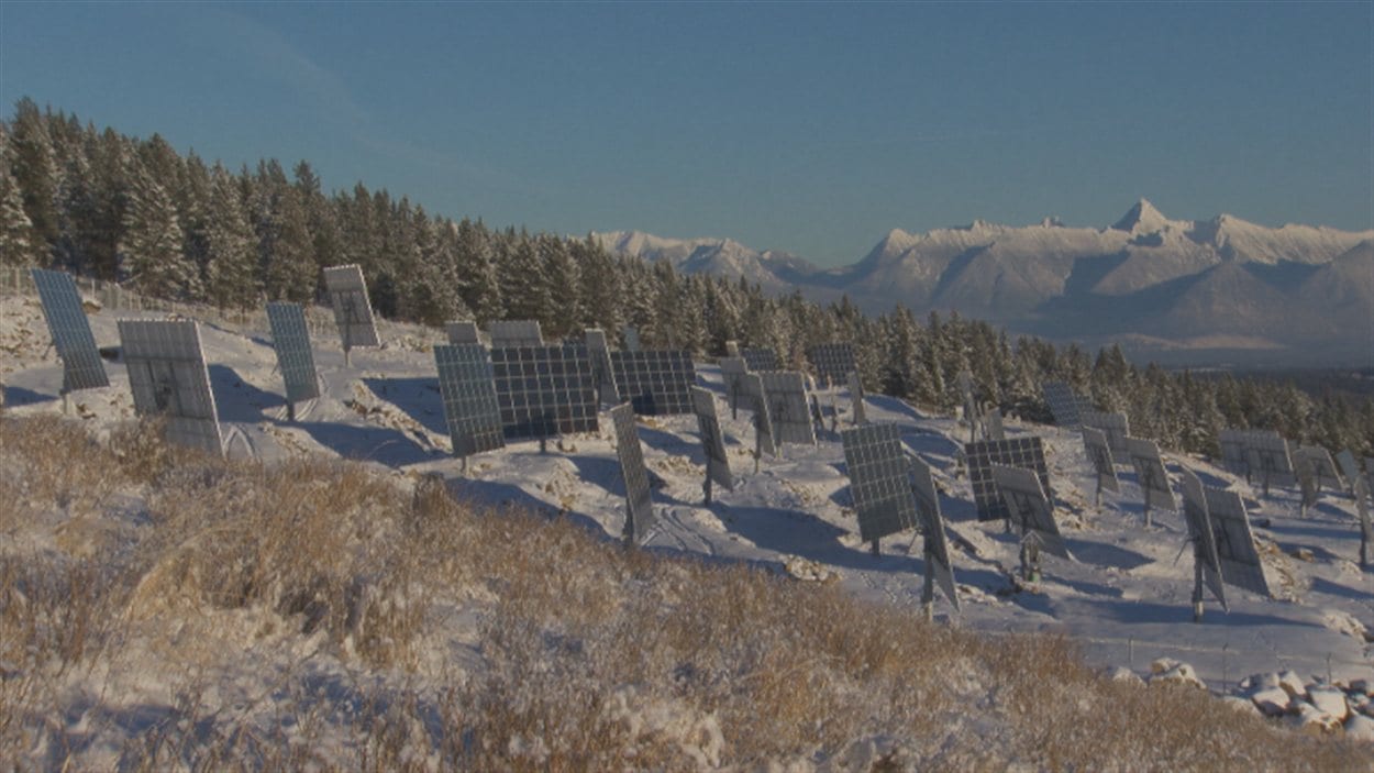 Au total, le site compte 4 000 modules photovoltaïques montés sur 96 dispositifs qui suivront la trajectoire du soleil. La puissance de la centrale sera d'abord d'un mégawatt.