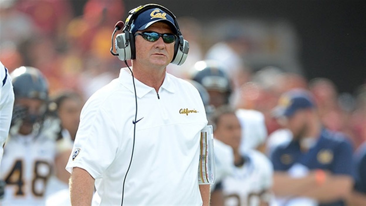Les Lions mettent les griffes sur Jeff Tedford | Radio-Canada