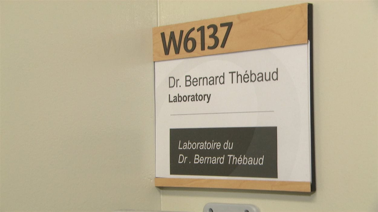 Laboratoire du Dr. Bernard Thébaud