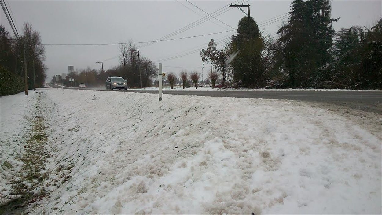Aldergrove, en Colombie-Britannique, a reçu sa première tempête hivernale de l'année dimanche. 