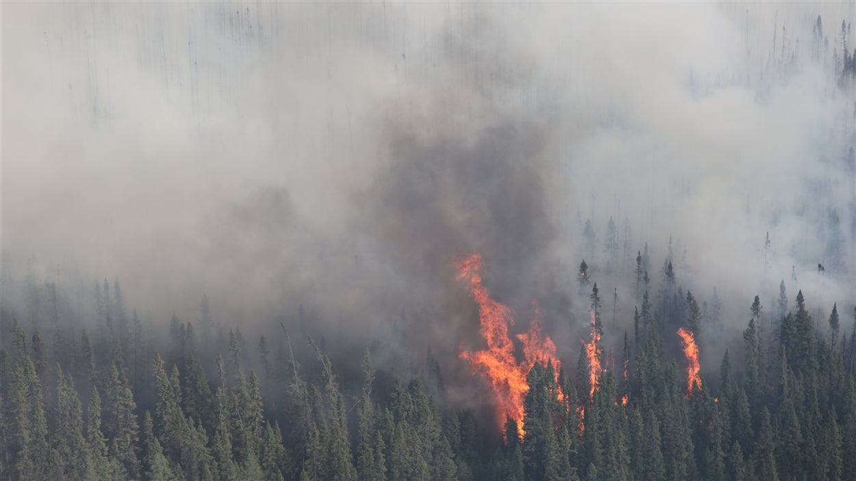 L'incendie baptisé Timmins 9 a commencé le 20 mai 2012 et a été finalement éteint en octobre. Au total, 40 000 hectares de forêt ont été ravagés.
