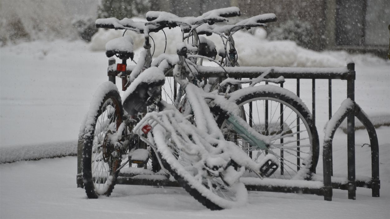 Des vélos enneigés stationnés