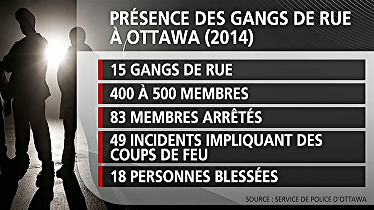 Lutte contre les gangs de rue : Prévention du crime Ottawa réclame plus ...