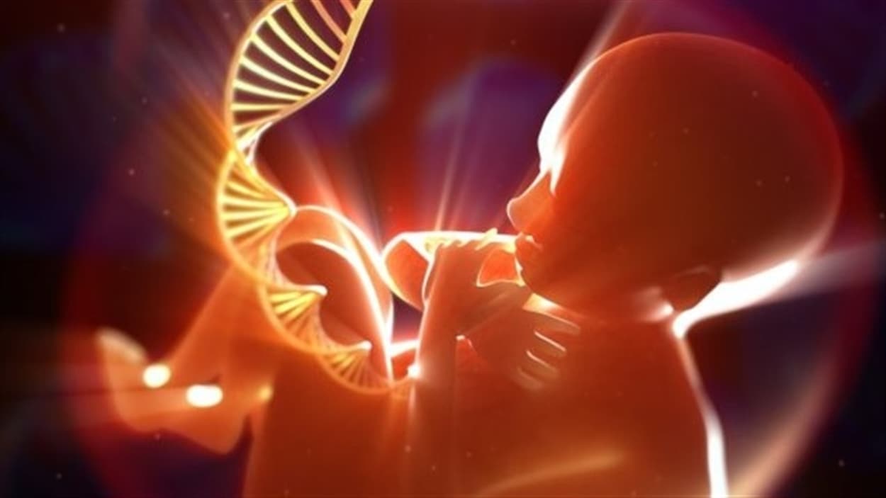 tude Programmes De Pr vention Insuffisants Pour Prot ger Les Foetus tude-programmes-de-pr-vention-insuffisants-pour-prot-ger-les-foetus