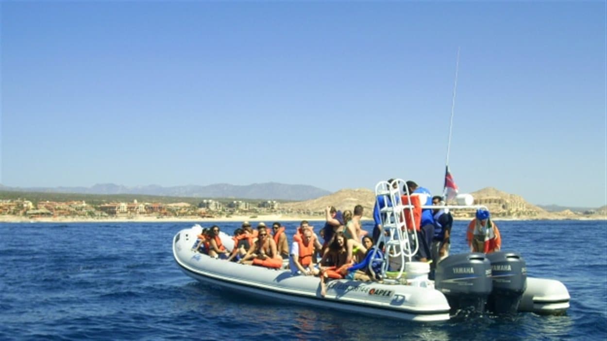 Ce bateau est entré en collision avec une baleine lors d'une excursion près de Cabo San Lucas au Mexique.