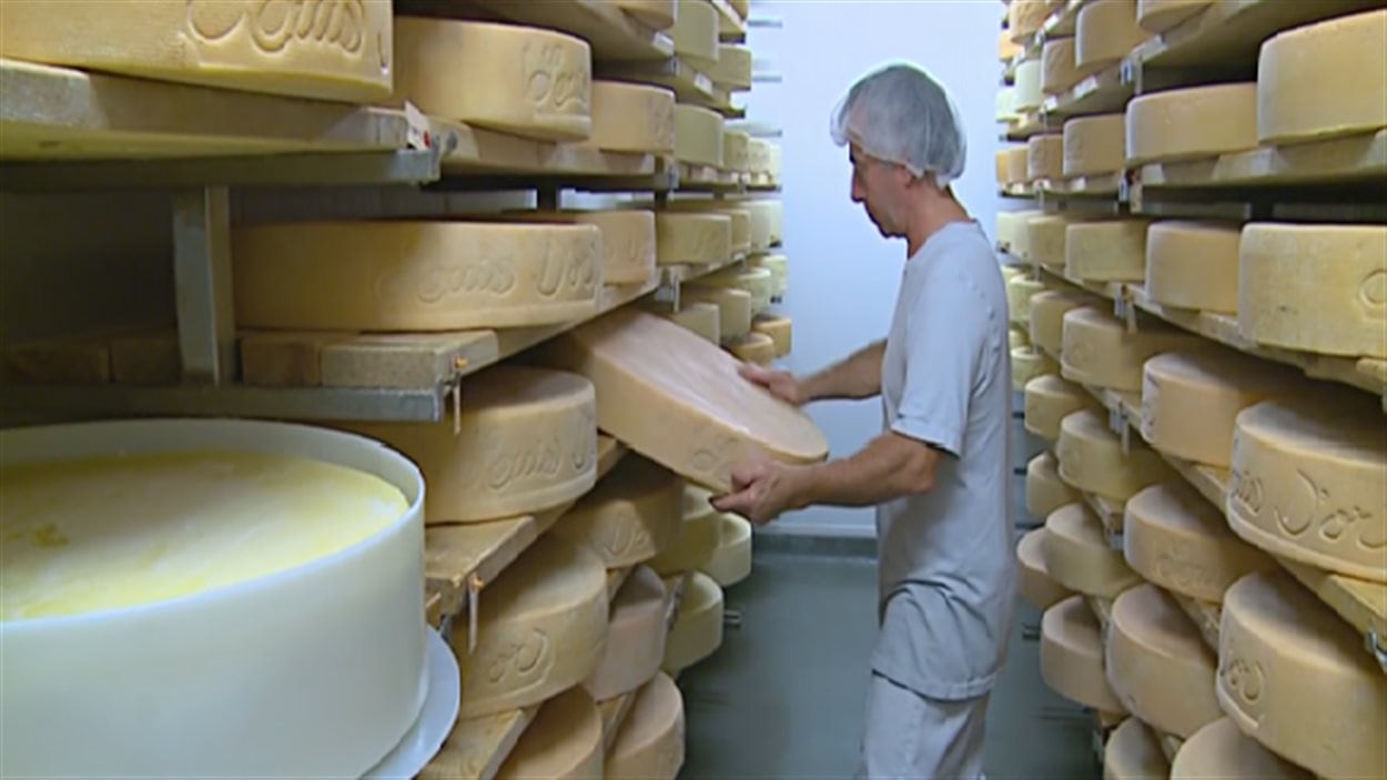 La Fromagerie Du Presbytère à La Conquête Du Marché Américain Radio Canadaca 