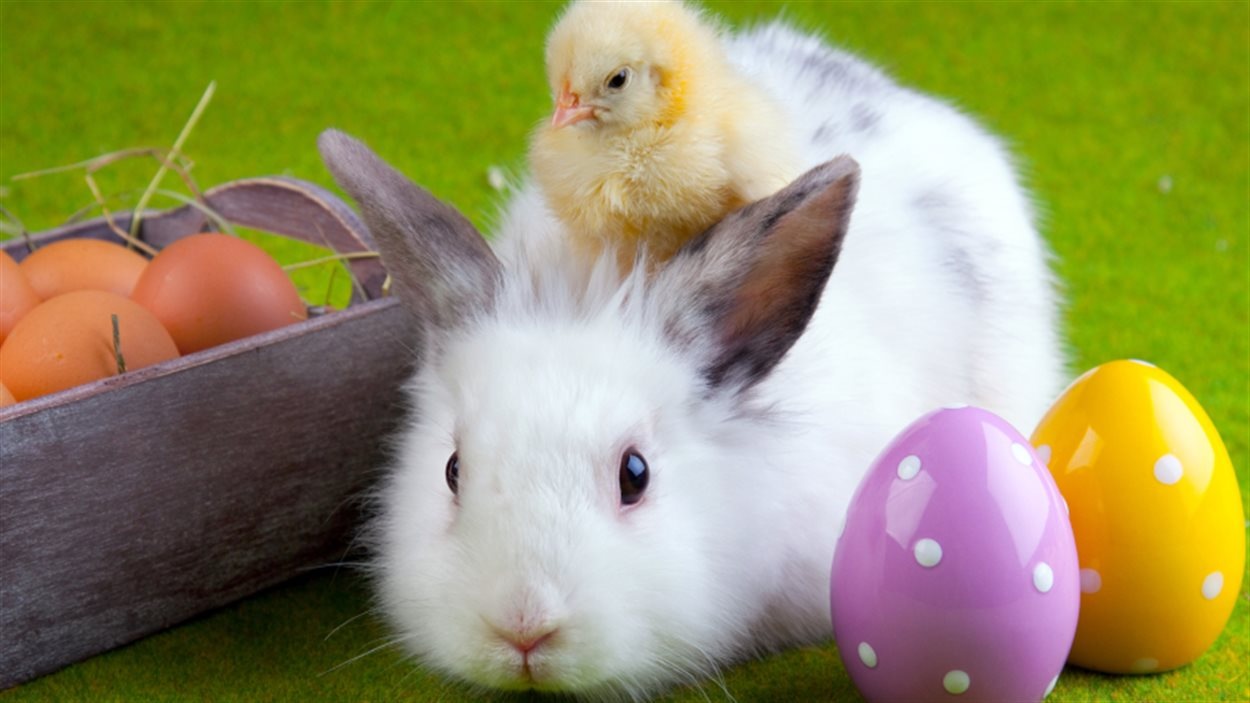 Pâques : pourquoi des oeufs, de l'agneau et des cloches ? – L'Express