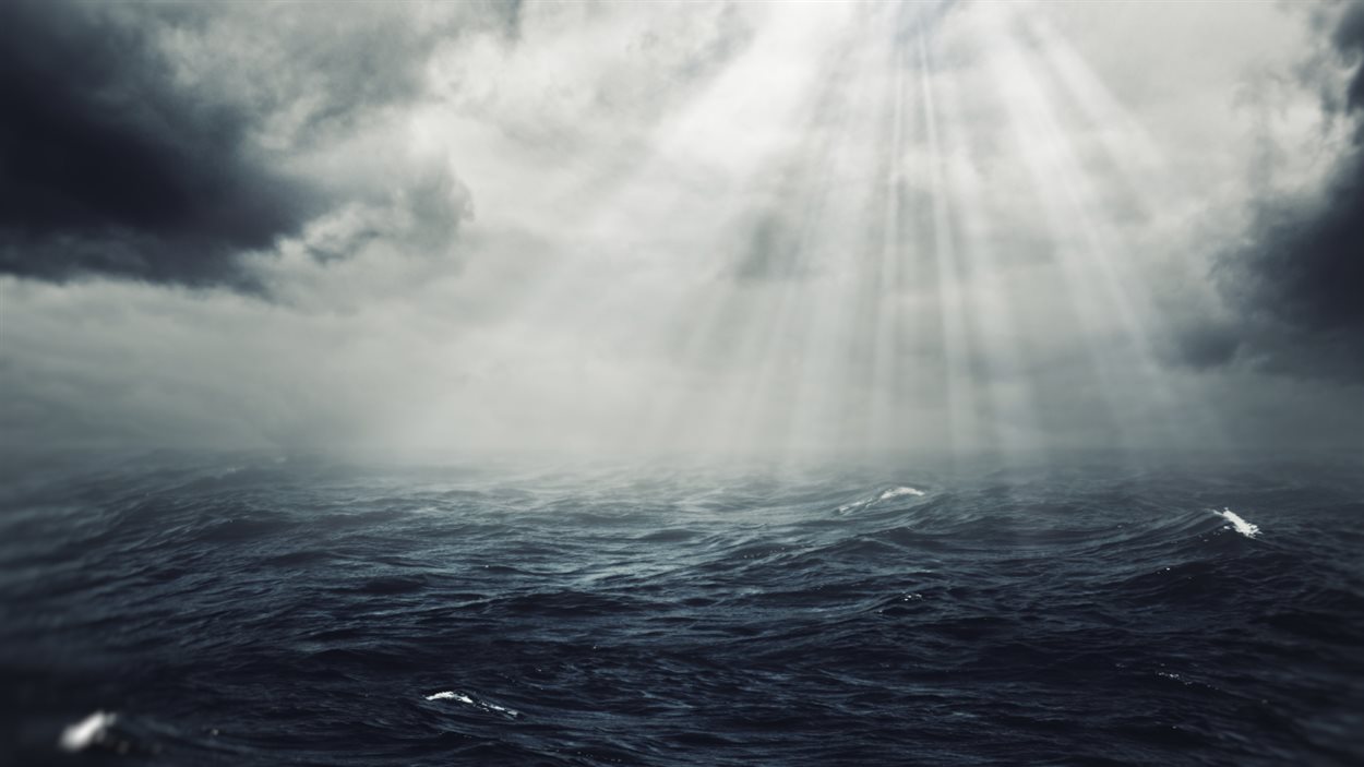 ocean