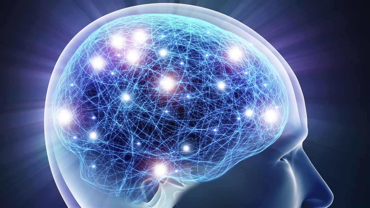 Représentation d'un cerveau humain