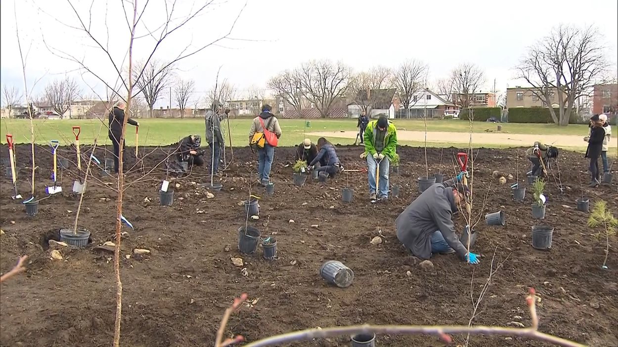 Des gens plantent des arbres pour le Jour de la Terre