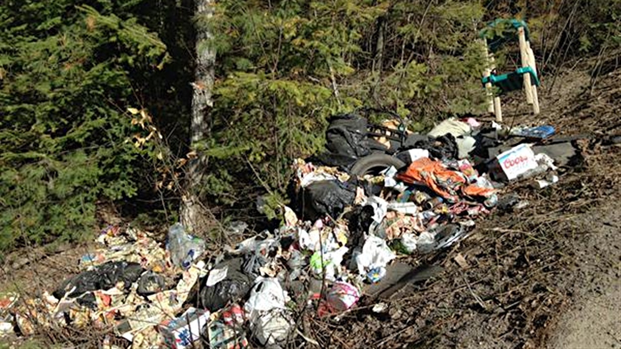 Un pollueur a laissé un amas de déchets en bordure d'un chemin dans le parc de la Gatineau.