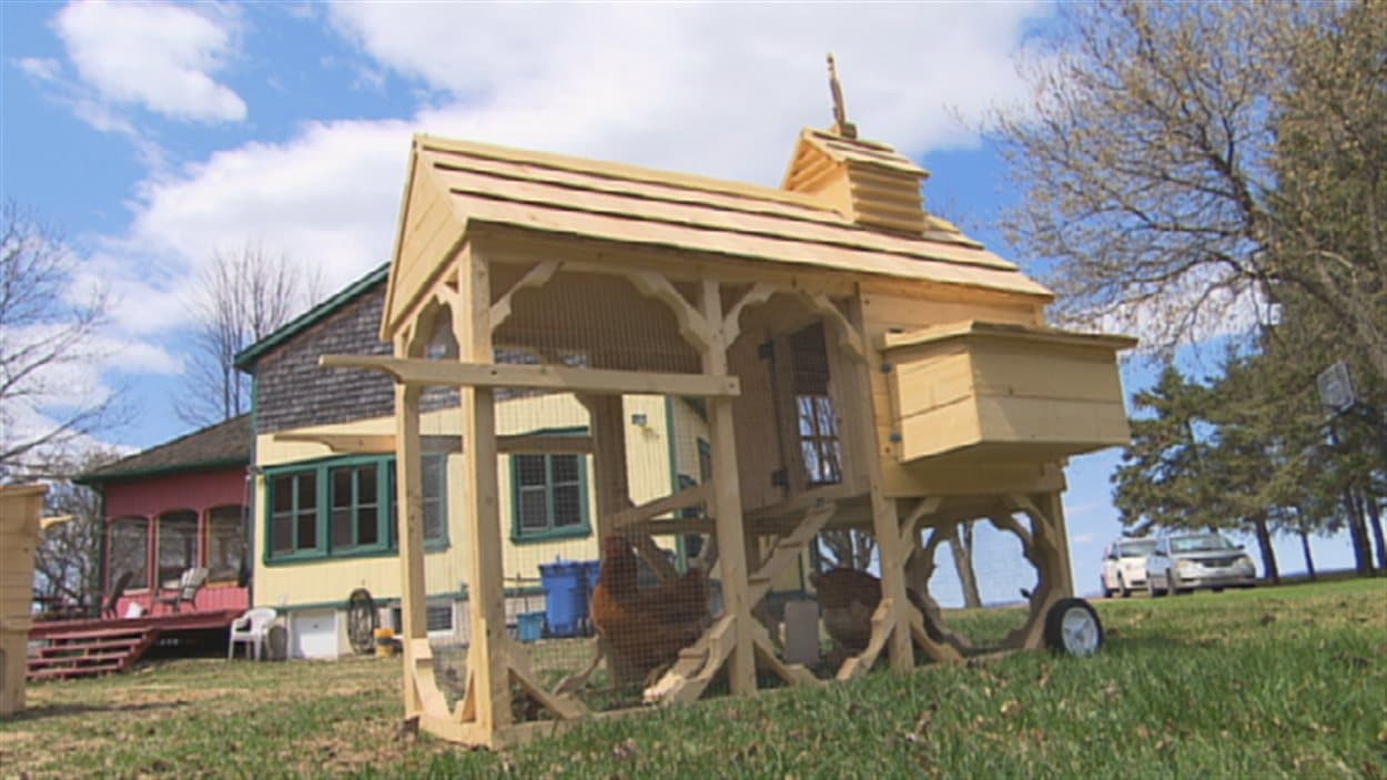 Fabriquer Des Petits Poulaillers Pour Les Habitants Des Villes Ici