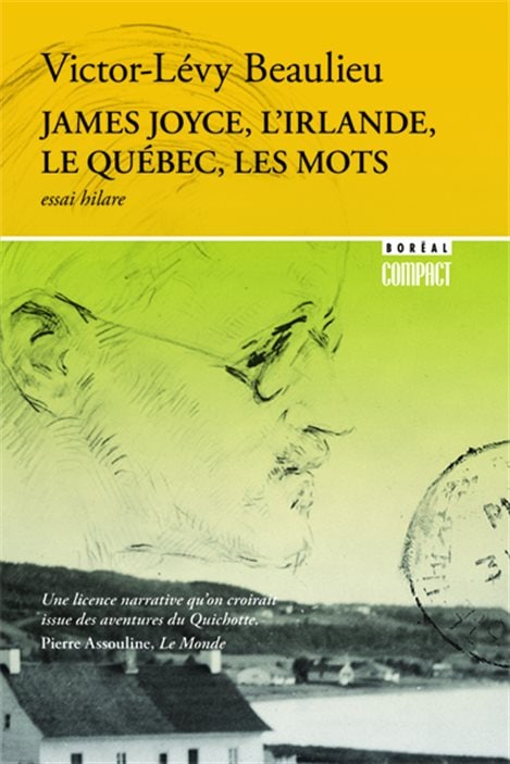 La couverture de « James Joyce, l'Irlande, le Québec et les mots » de Victor-Lévy Beaulieu.