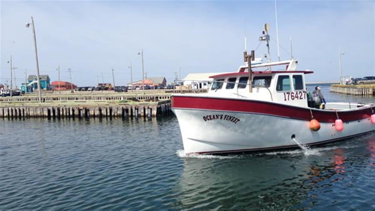 Les premiers bateaux rentrent au port de Grande-Entrée pour décharger du homard
