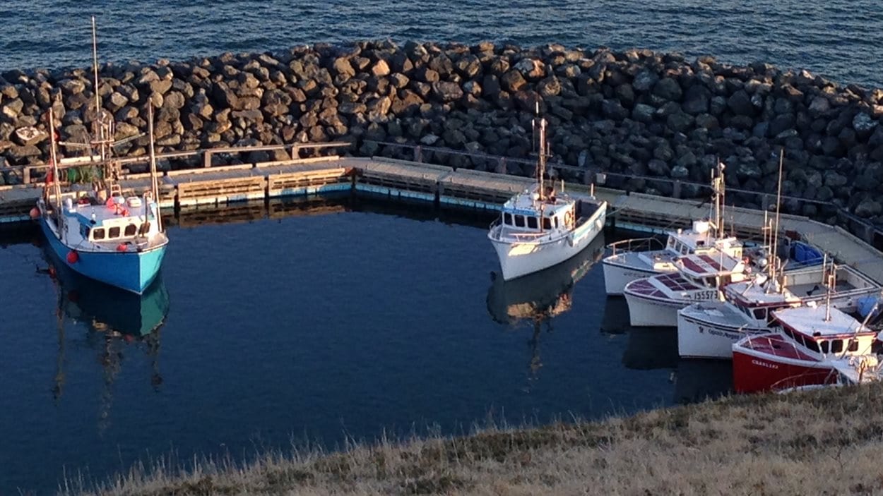 Le port de Cap-aux-Meules aux Îles-de-la-Madeleine.