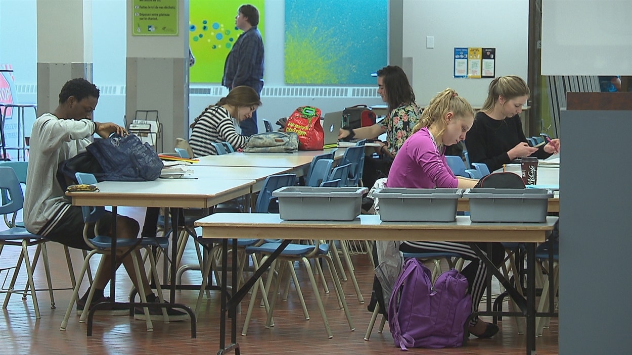 Semaine d'intégration des étudiants étrangers et autochtones au Cégep