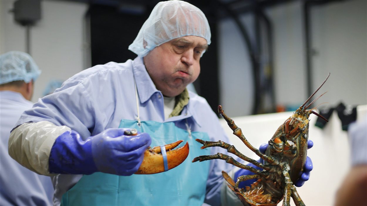 Un travailleur d'une usine de transformation.