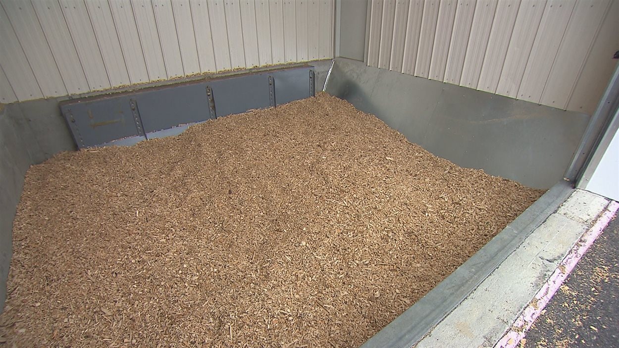 C'est la biomasse forestière qui fournira la chaleur nécessaire pour faire pousser les raisins