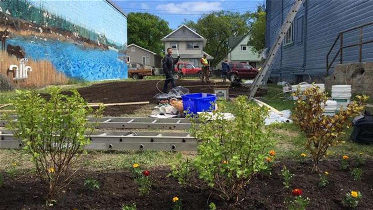 Opération d’embellissement dans le North End à Winnipeg RadioCanada