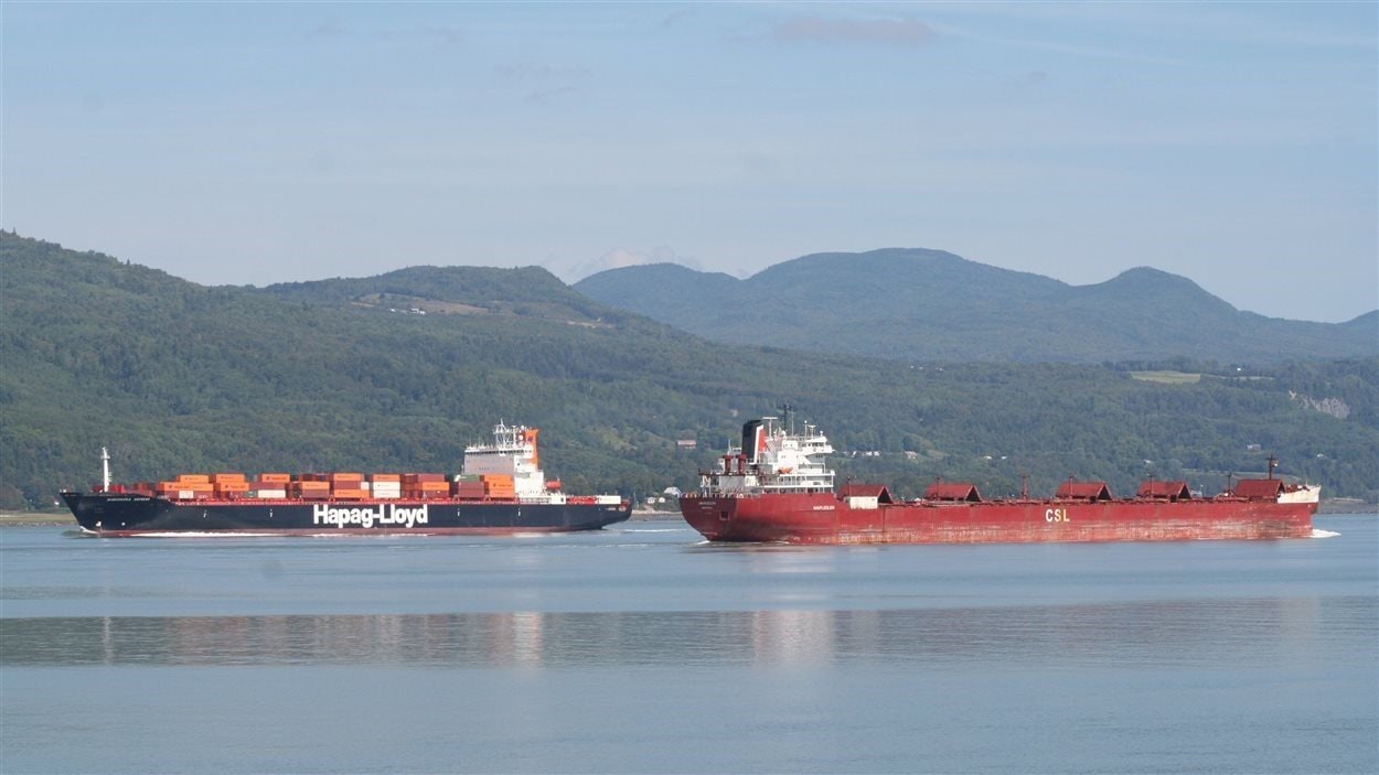 Deux cargos se croisent devant l'Isle-aux-Coudres.