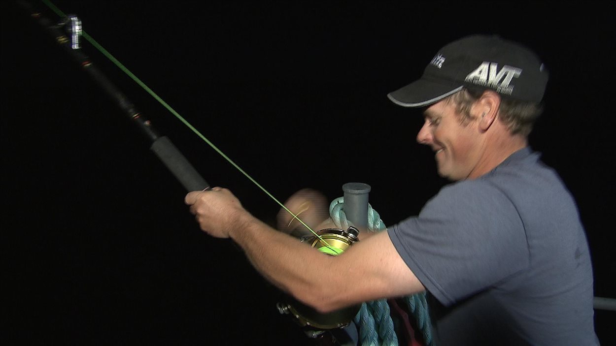 La pêche au thon récréative est permise pour une première année en Gaspésie