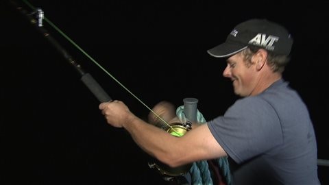 La pêche au thon récréative est permise pour une première année en Gaspésie