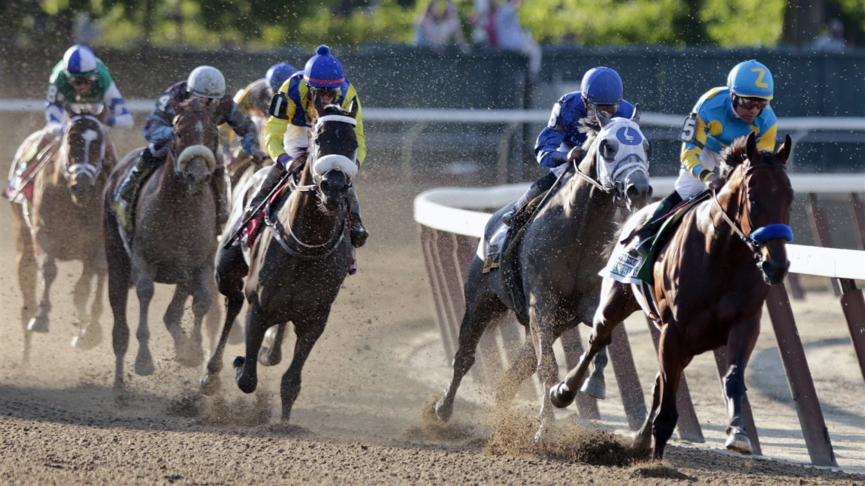 American Pharoah