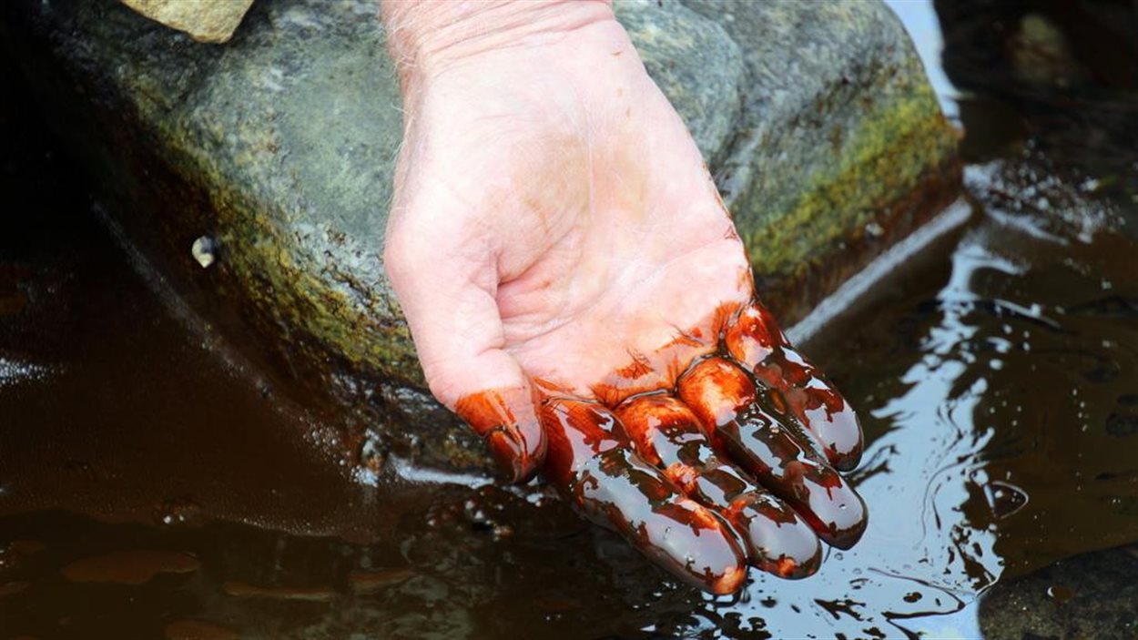 Du pétrole dans la baie de Port au Port à Terre-Neuve