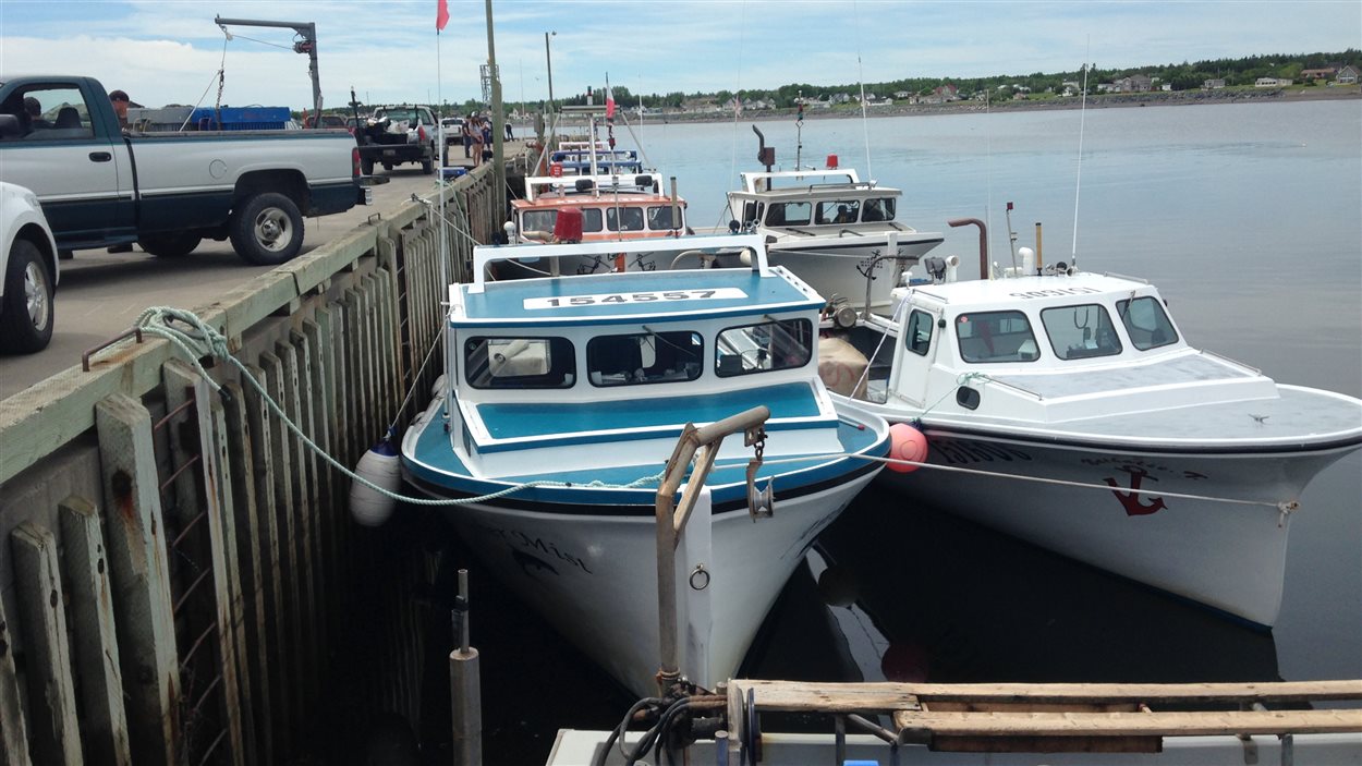 Le Boom Dans La Peche Au Homard Provoque Une Penurie De Bateaux Radio Canada Ca