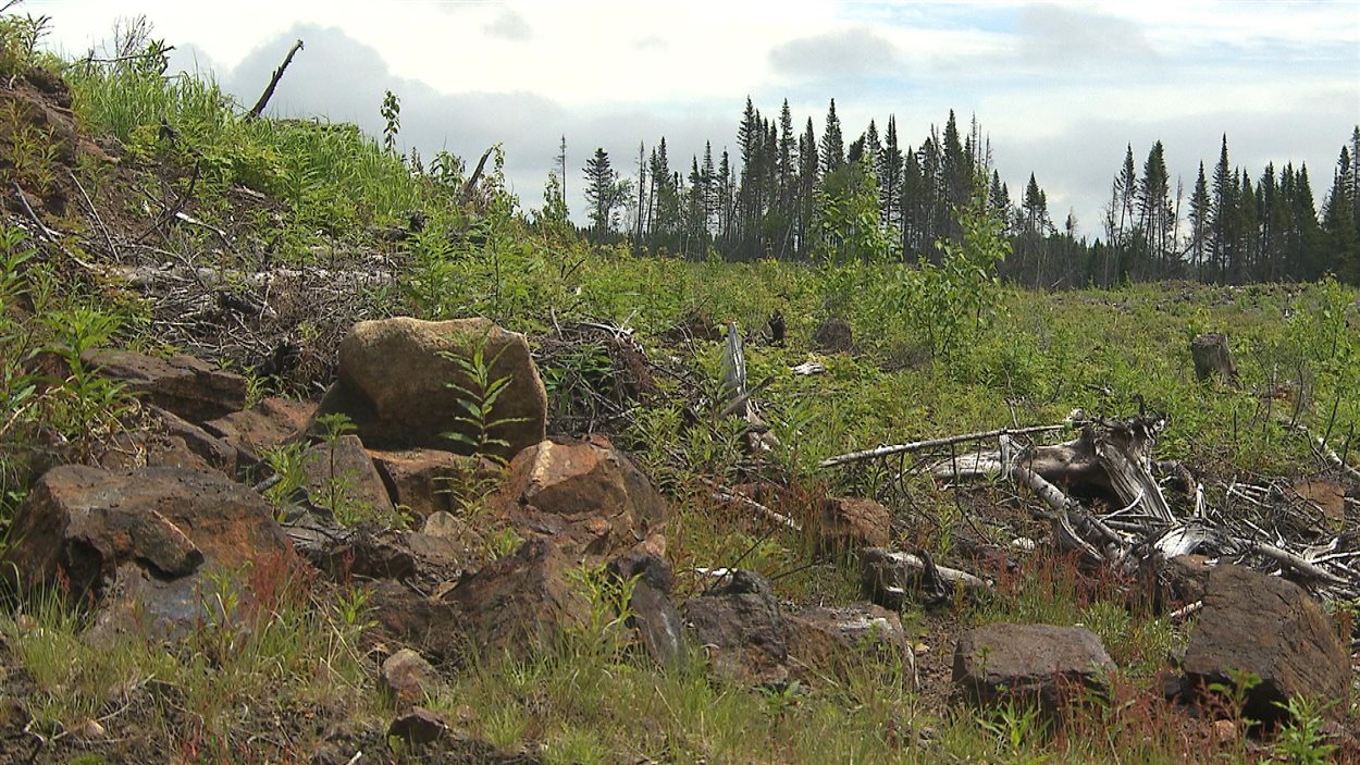 Le futur site de la mine Arnaud à Sept-Îles