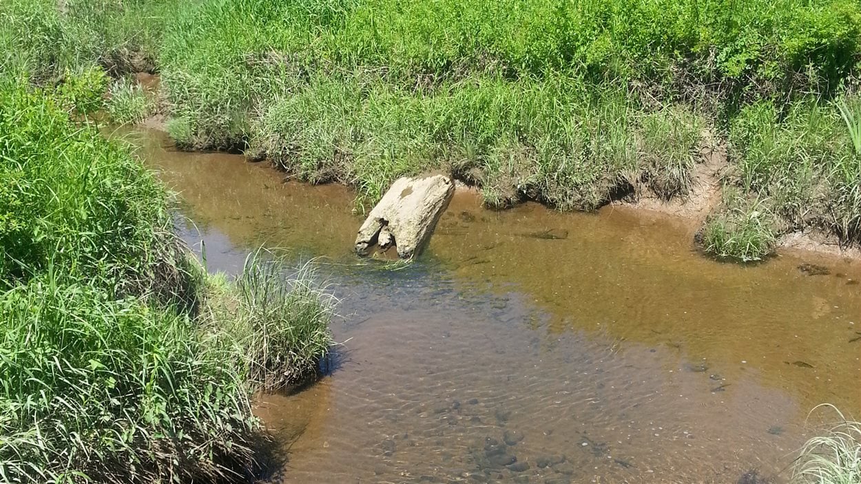 Aboiteau découvert le long d'un sentier pédestre à New Minas, en Nouvelle-Écosse.