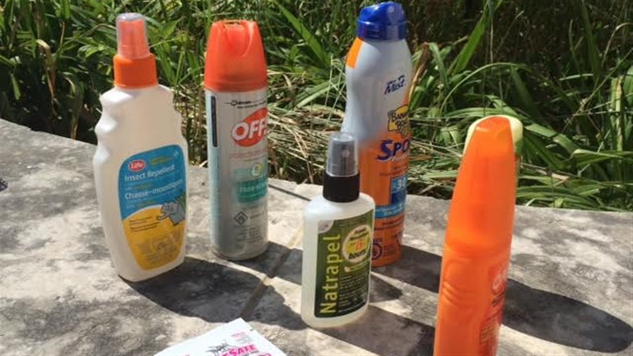 Virus du Nil occidental : risques toujours présents en Saskatchewan ...
