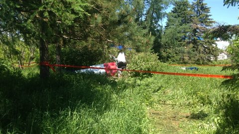 L'avion s'est écrasé tout près de la piste de l'aéroport de Bonaventure