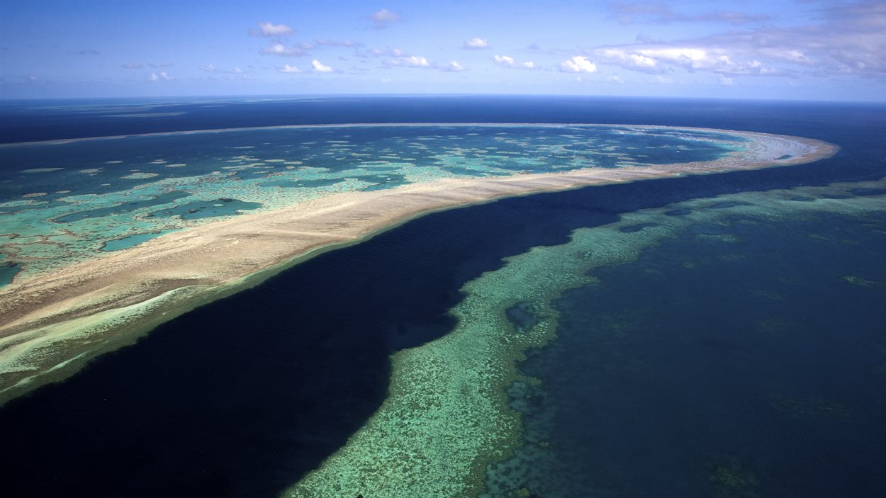 La Grande Barrière de corail s'étend sur 2000 km le long de la côte du Queensland, en Australie.