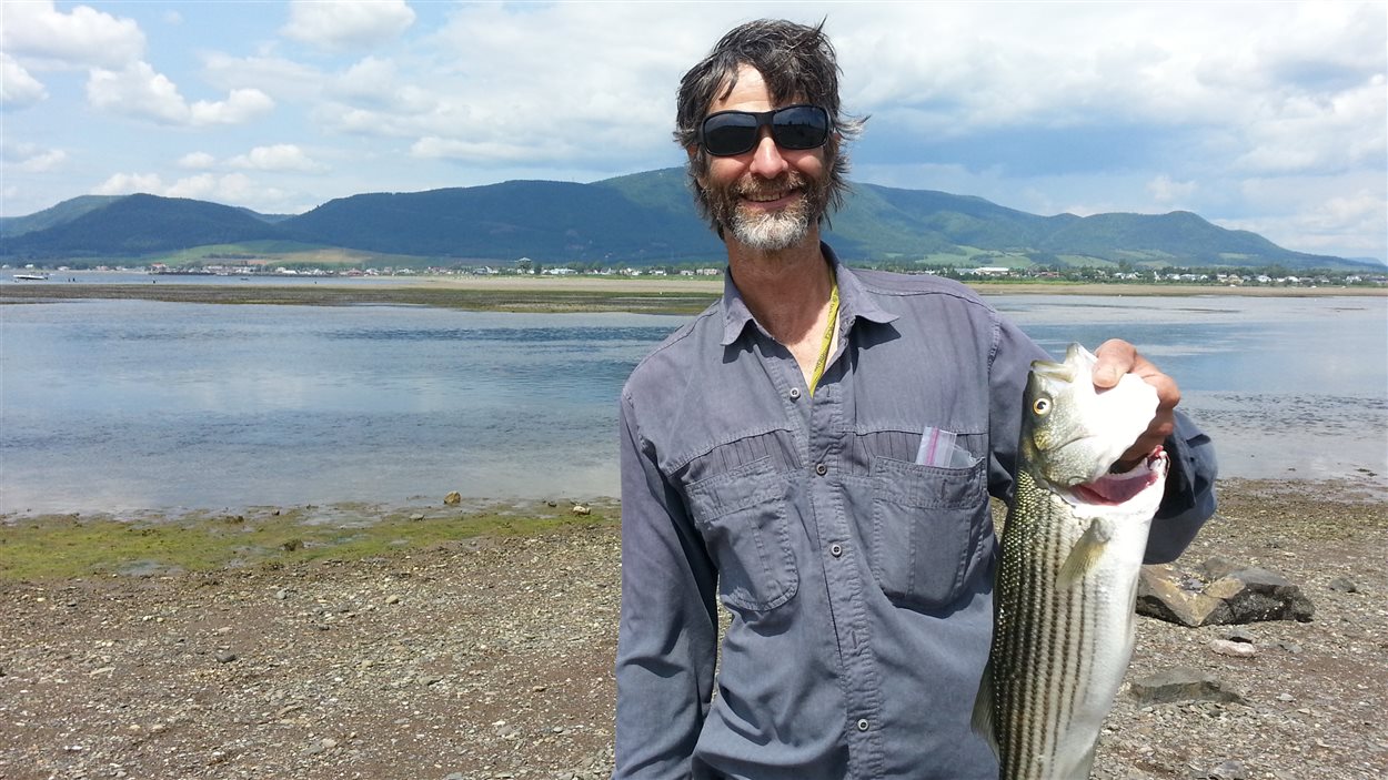 Dernières prises de bar rayé dans la BaiedesChaleurs cet été Radio