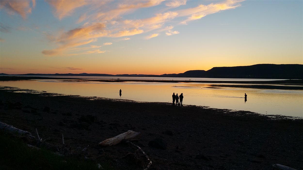 La pêche au bar rayé suscite un engouement dans la BaiedesChaleurs RadioCanada La pêche au bar rayé suscite un engouement dans la BaiedesChaleurs RadioCanada