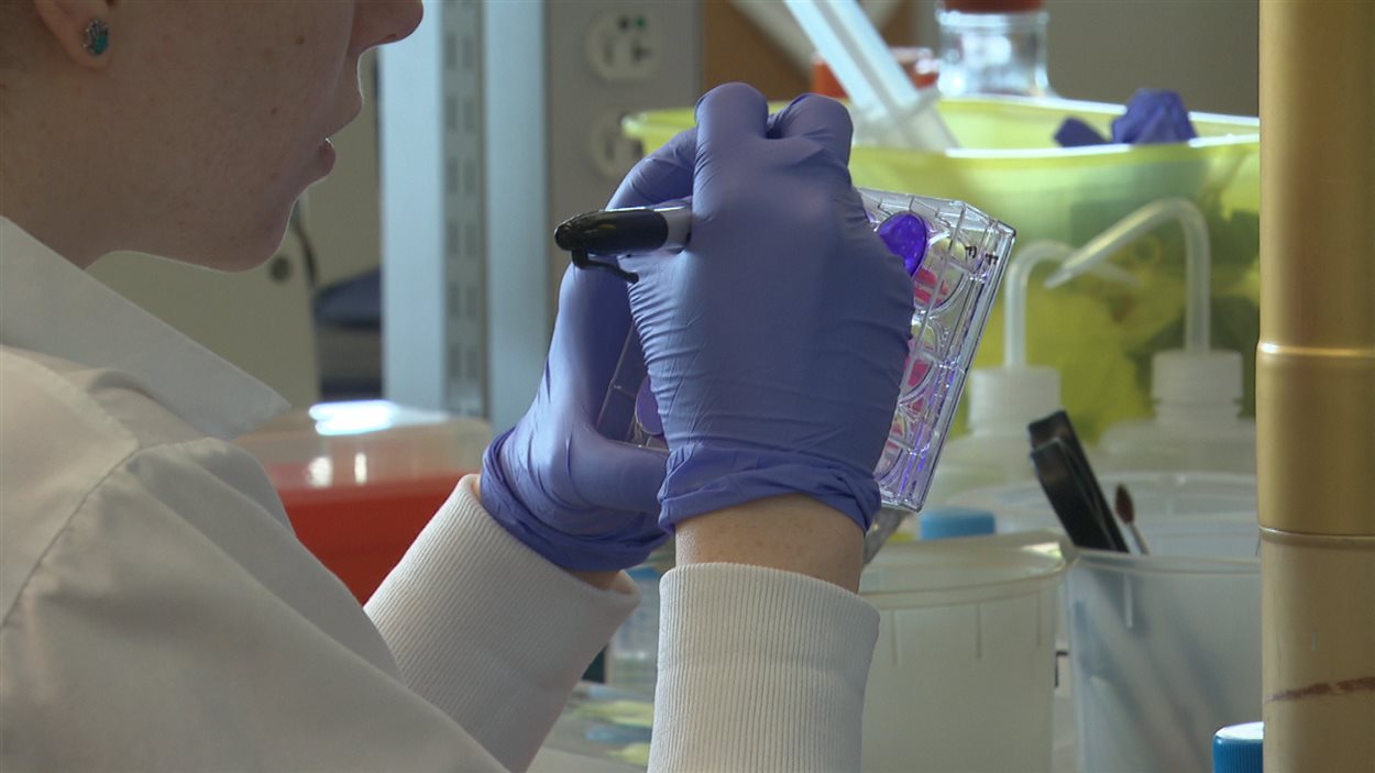 La virothérapuie est un nouveau traitement à l'essai pour combattre le cancer.