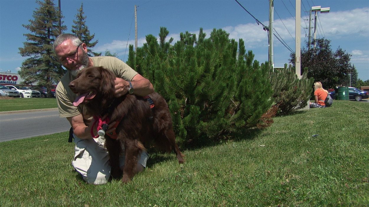 Daniel Pelletier, ancien combattant, avec son chien du programme Courageux Compagnons