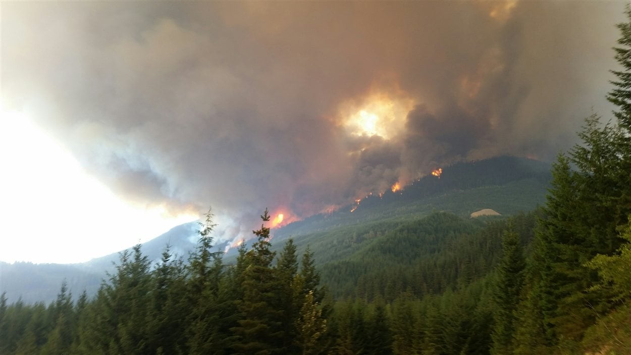 L'incendie de forêt Elaho à l'ouest de Pemberton