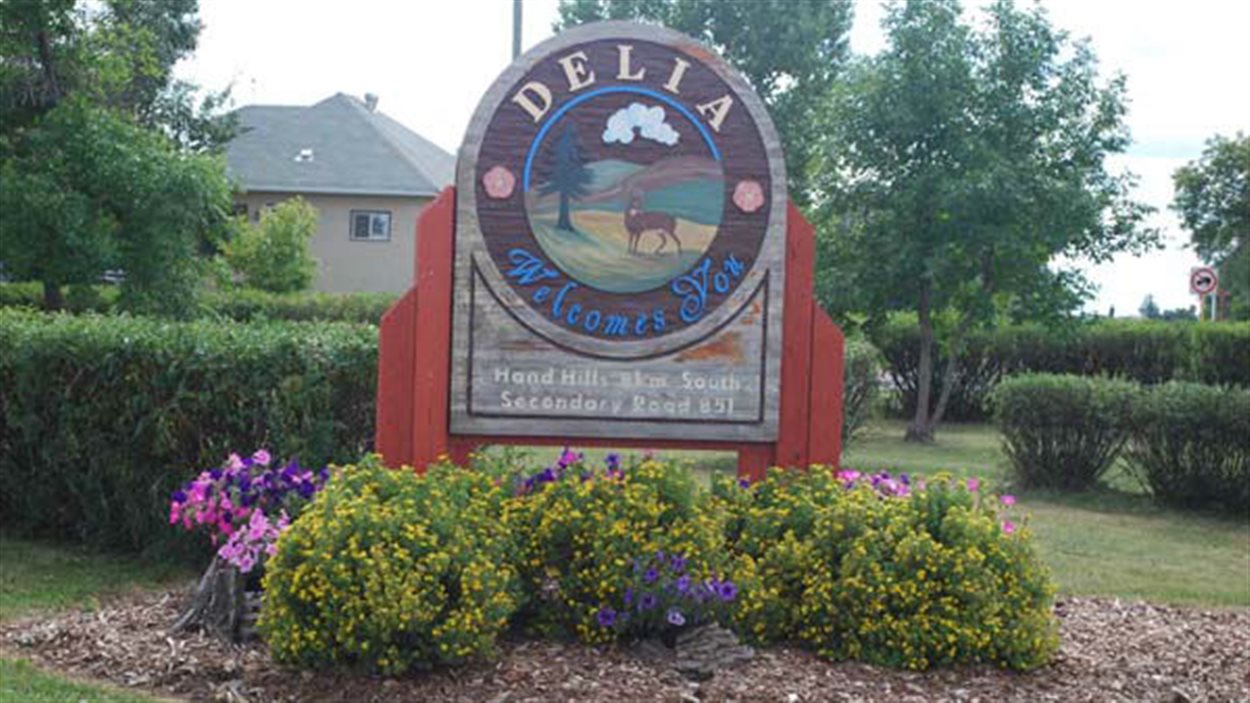 Vous avez raté votre chance d'acheter un terrain pour 10 à Delia, en