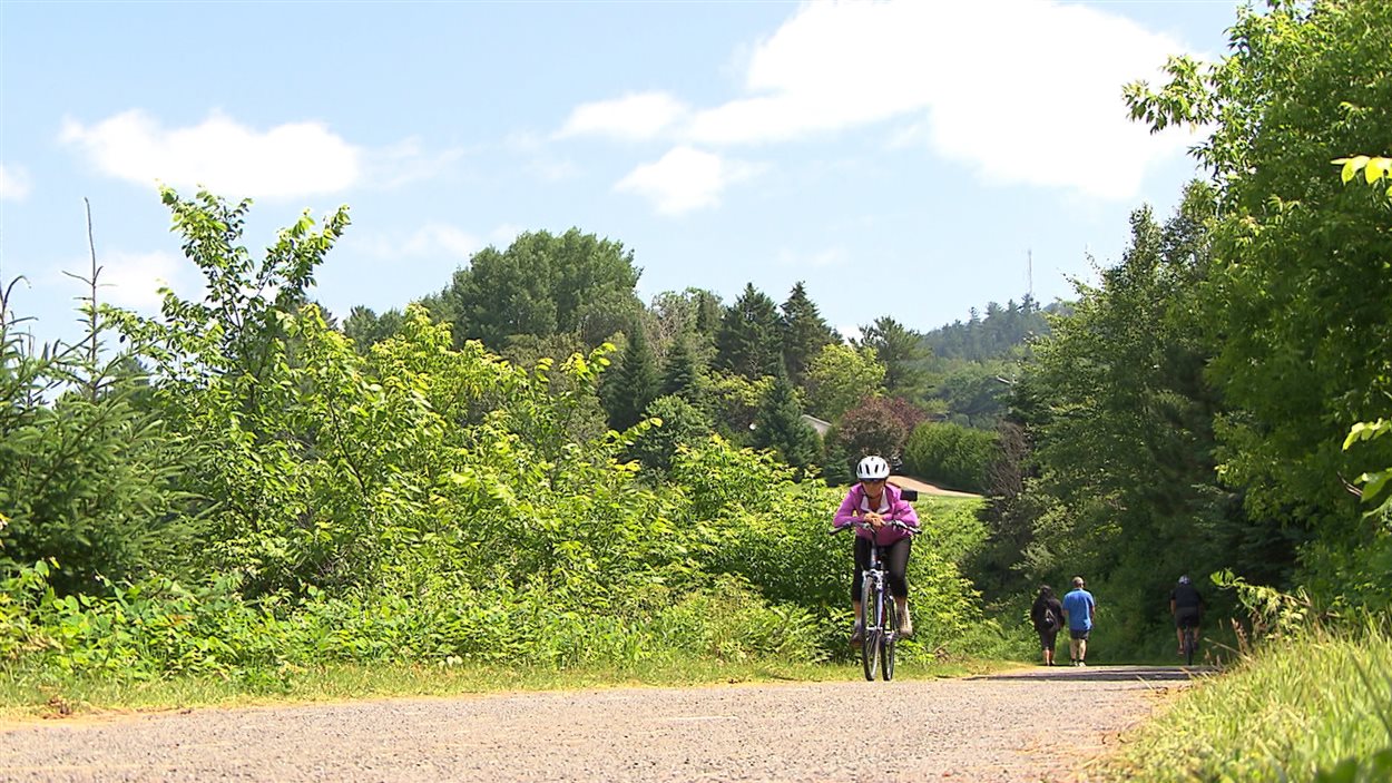 Cycliste sur la route verte