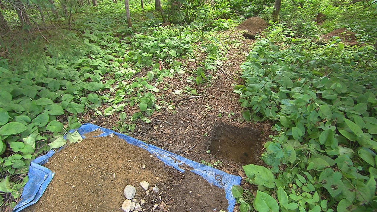L'un des sites de fouilles archéologiques au Parc national du Lac-Témiscouata