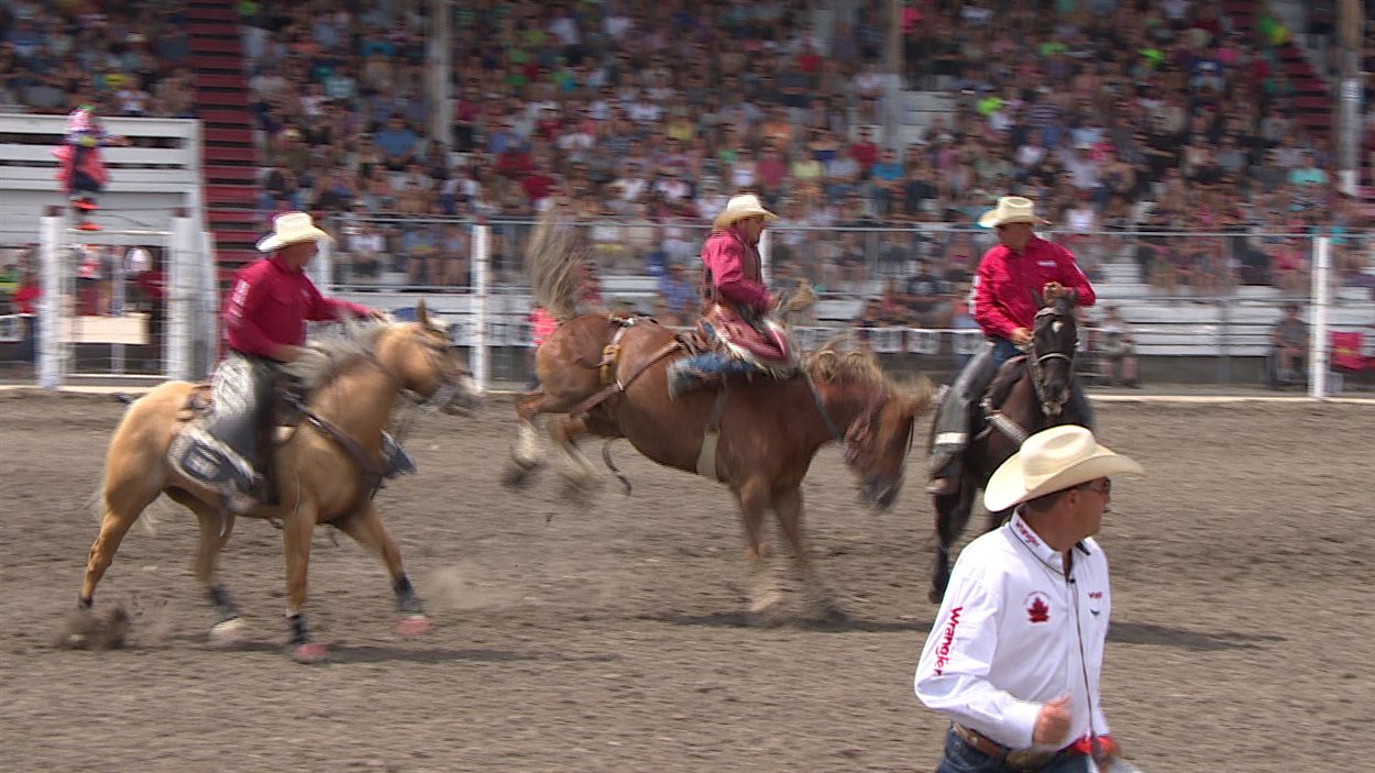 Un cheval tente d'éjecter le cowboy qui le monte lors que Stampede du Manitoba à Morris.