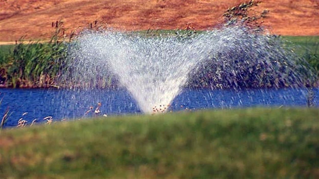 L'arrosage d'une pelouse.